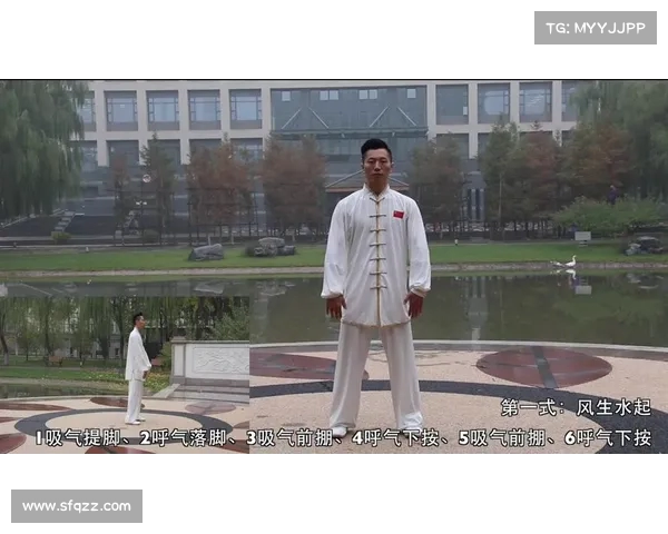 柴云龙带你走进太极世界:太极拳完全教学指南(柴云龙中华女子太极拳) 柴云龙带你走进太极世界:太极拳完全教学指南(柴云龙中华女子太极拳)