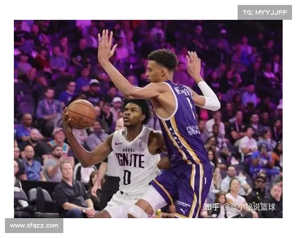 选秀预测算法：结合大学数据预测NBA成功率